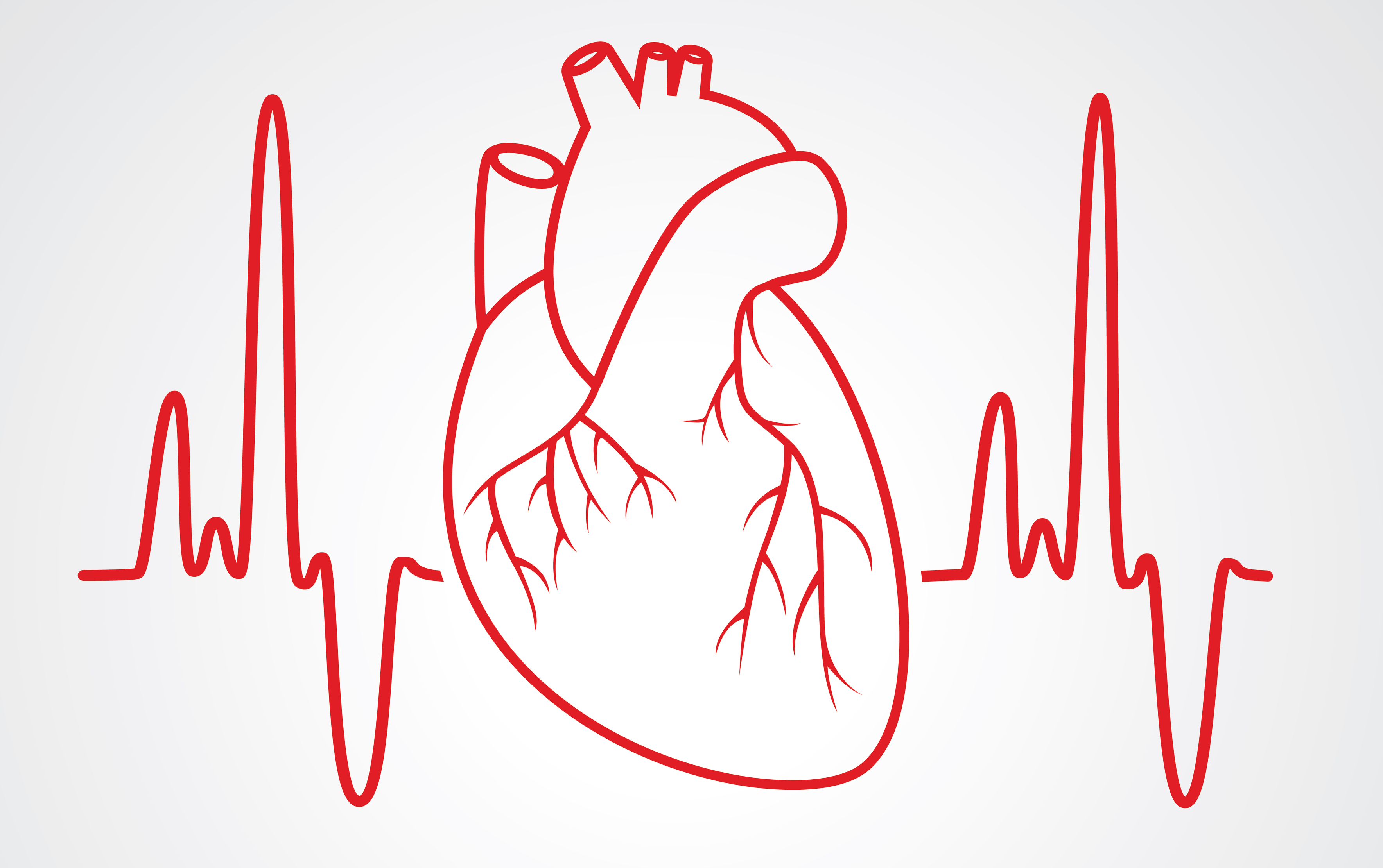 the-electrocardiogram-explained-what-is-an-ecg