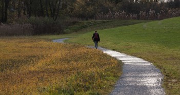 How A Pedometer Can Save Your Life