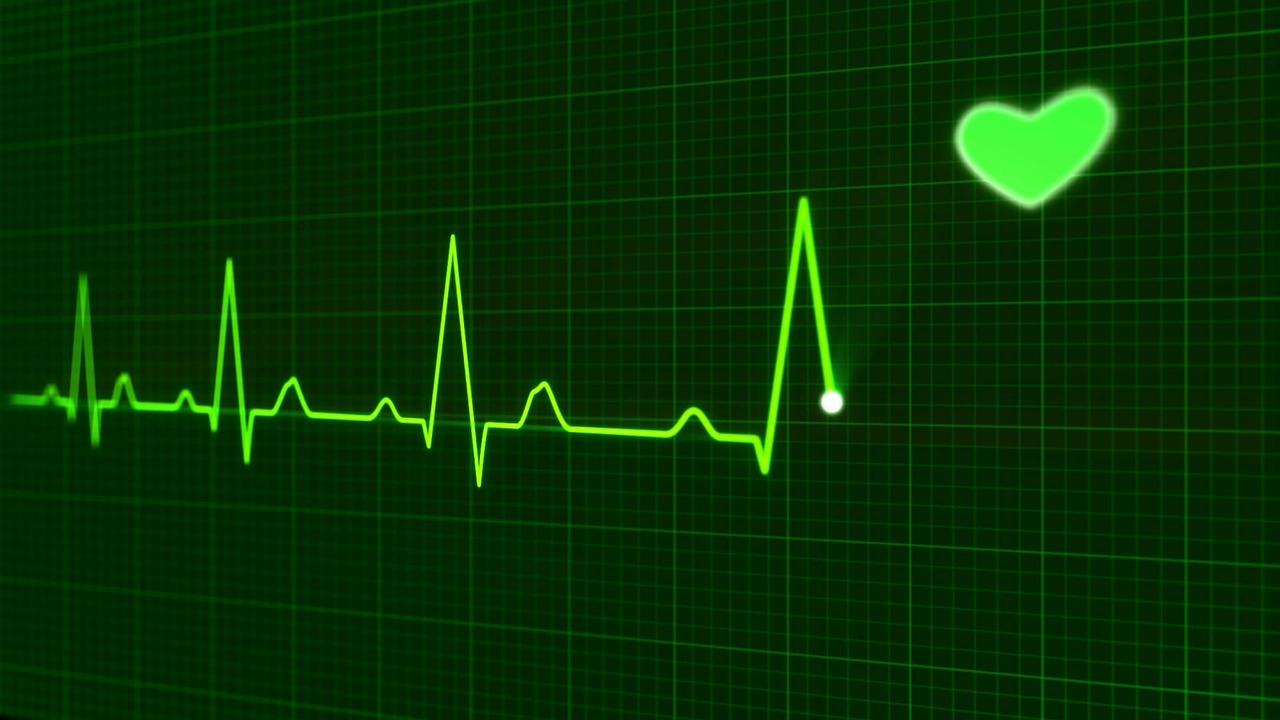 How Fast Can The Human Heart Beat? - Heart Sense