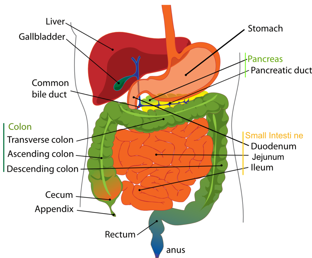 treatment of gallstones