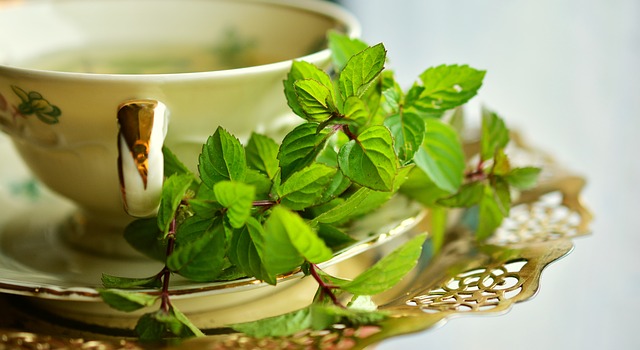 green tea good for health