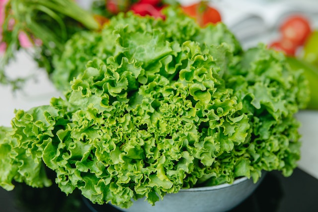 leafy vegetables for brain health